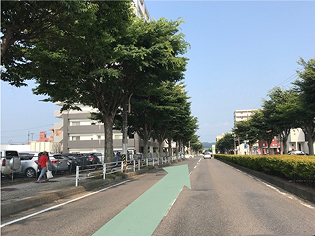 メイクスモア順路