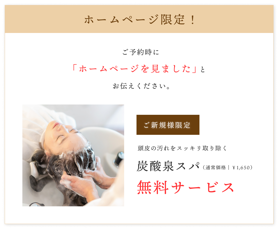 ホームページ限定割引